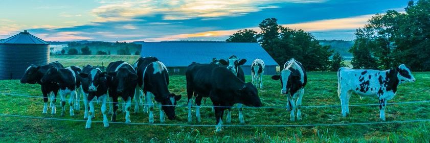 TraynorFarms banner