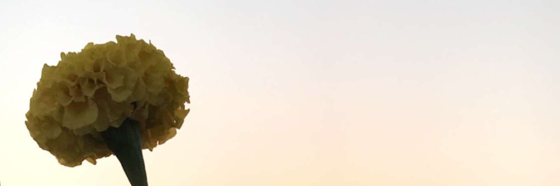 33meme88's profile banner image