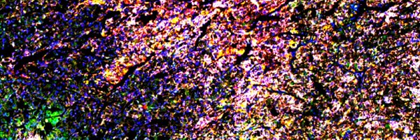 may_alley Profile Banner