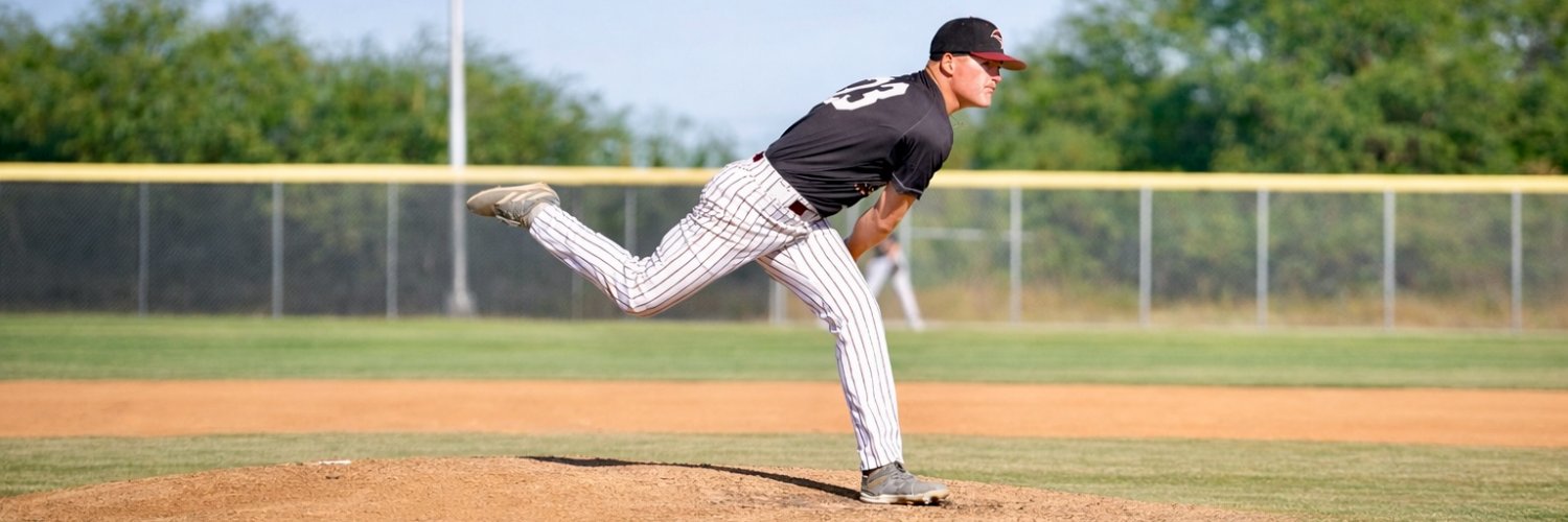 William Boucher banner