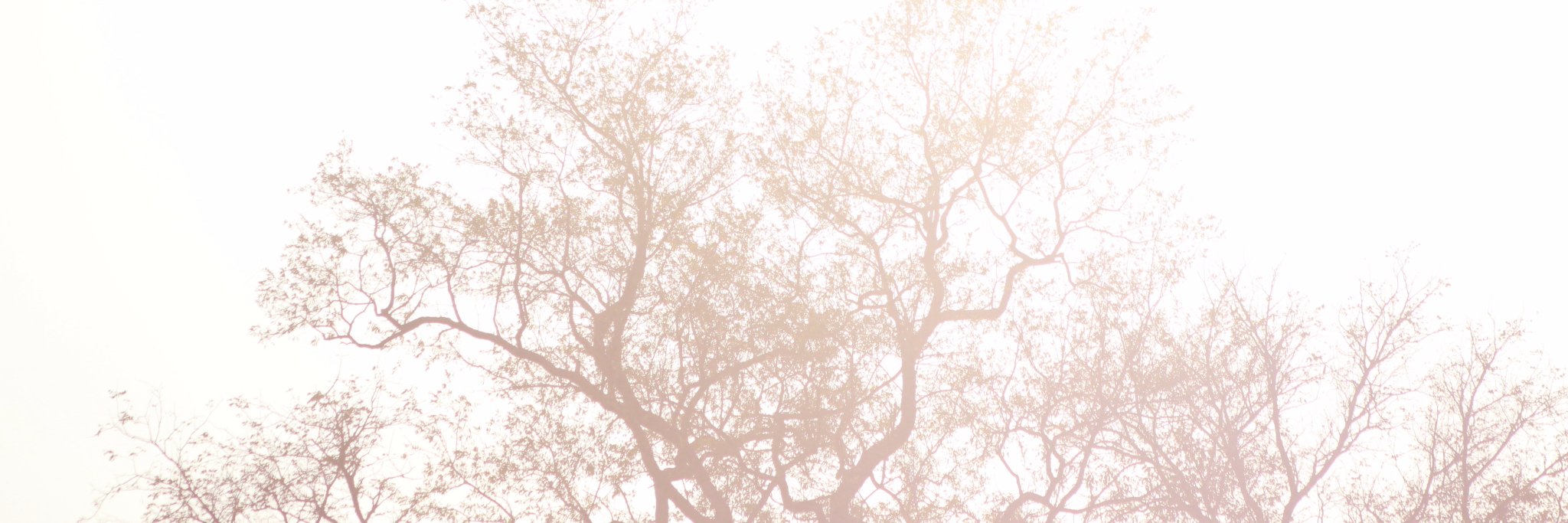 foundhergrail's profile banner image