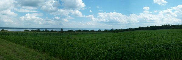 homebase Profile Banner