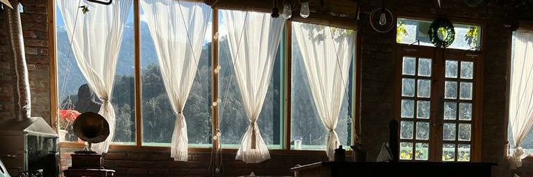 Dopey Labrador banner