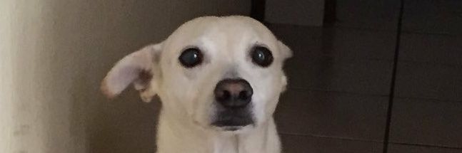 Arrufat23's profile banner image