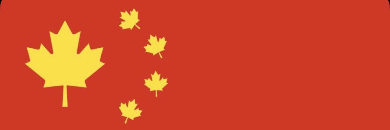🇺🇸🏴‍☠️ Veritas Québec 🏴‍☠️🇺🇸 banner