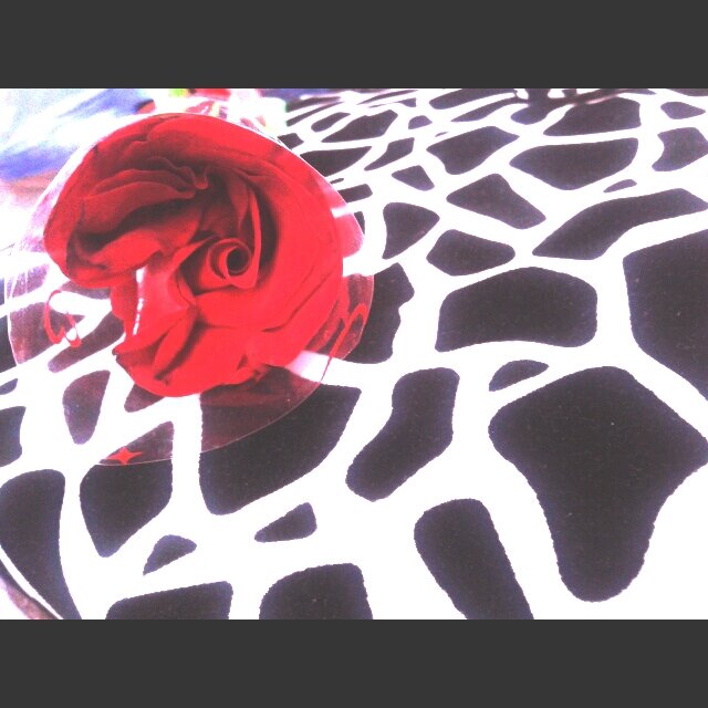 catur✨ banner