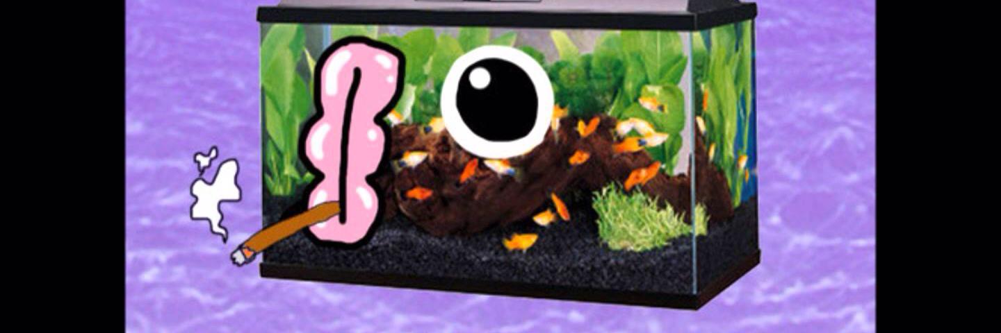 LoUcYfIr's profile banner image