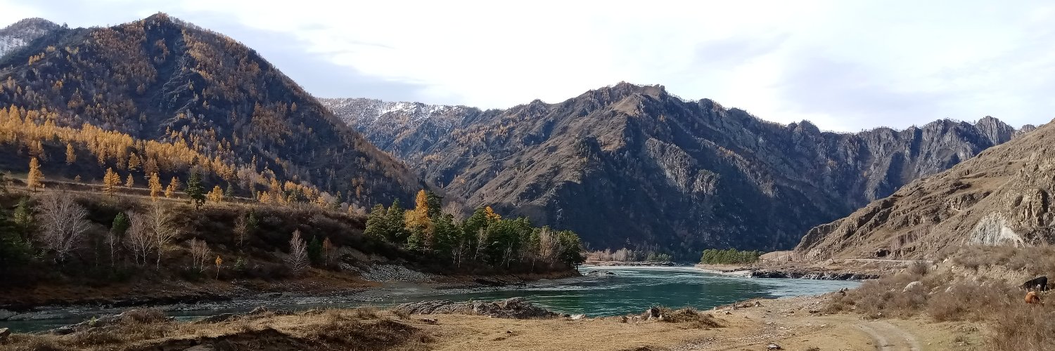 Natalia Krasilshchikova banner