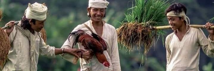 sutandidj's profile banner image