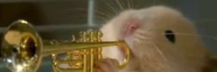 irl_daniela's profile banner image