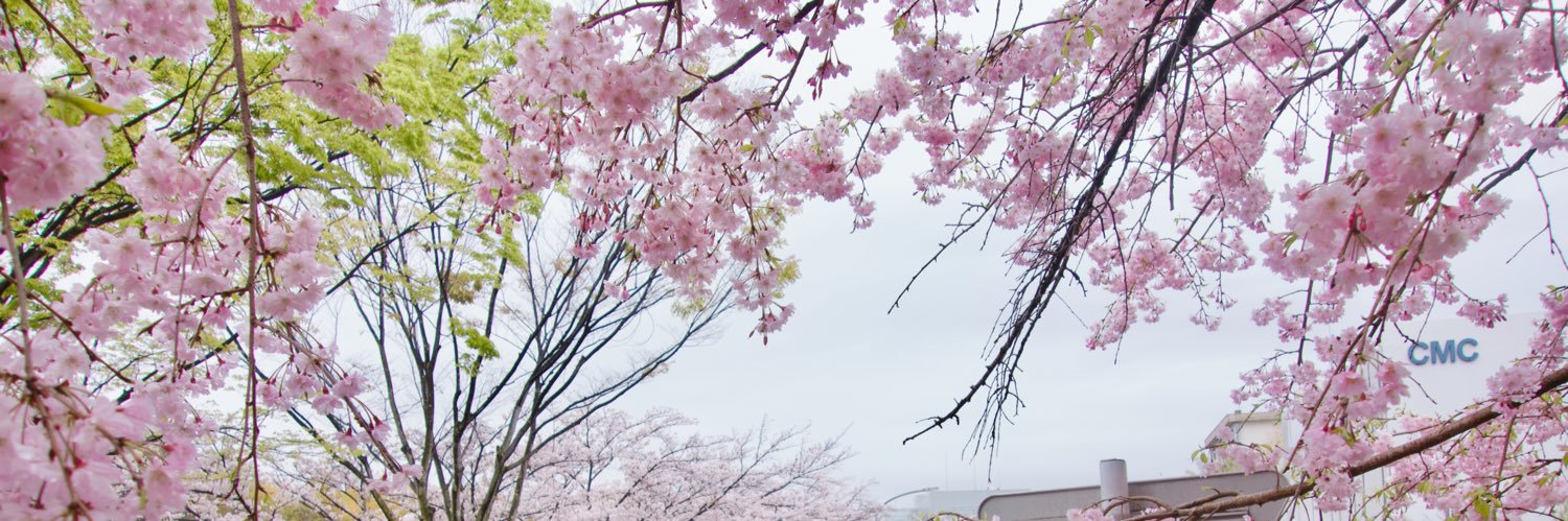 plain.serenity banner