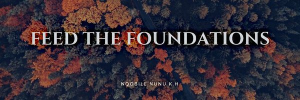 Nqobile Nunu K.H Profile Banner