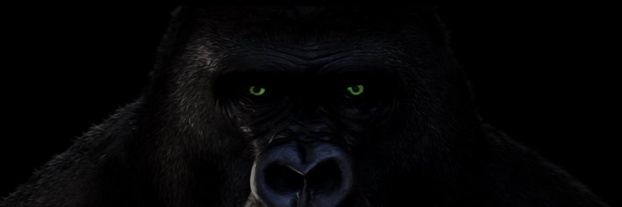 Cody Alexander II banner