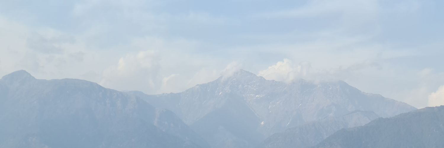 nelson10491's profile banner image
