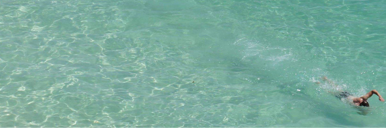 jlpeesis's profile banner image