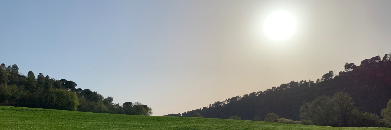 bethnelson's profile banner image