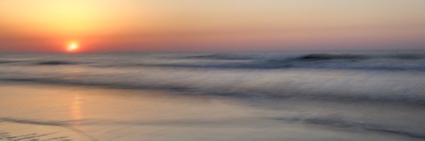 saragibby Profile Banner