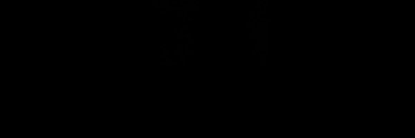 Drewdinii Profile Banner