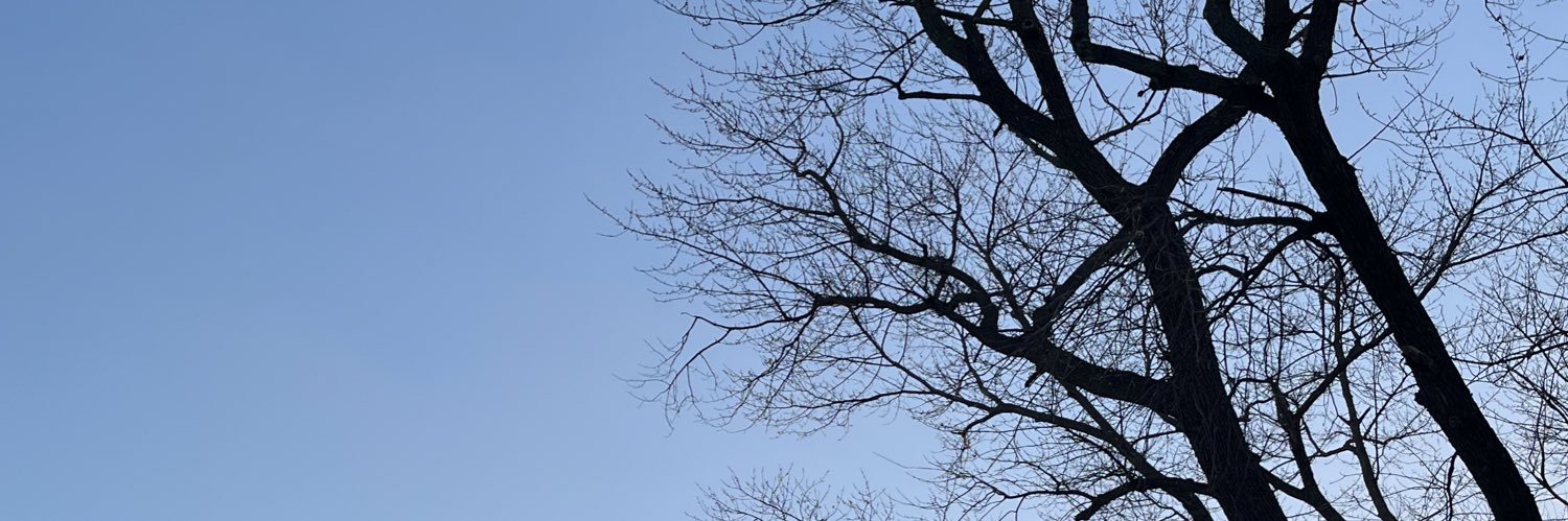 Mixell_mx's profile banner image