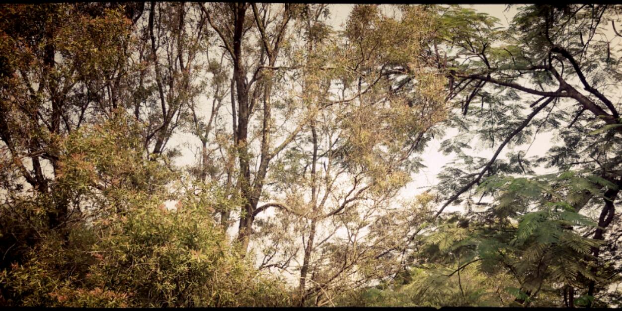 HannumPS's profile banner image