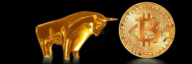 Bitcoin banner