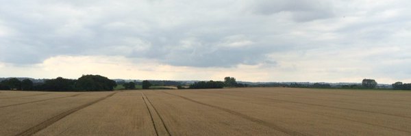 HDLRunciman Profile Banner