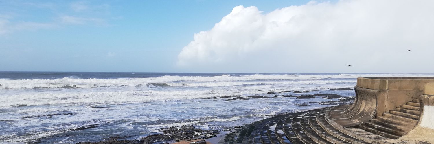 Bárbara Antunes banner