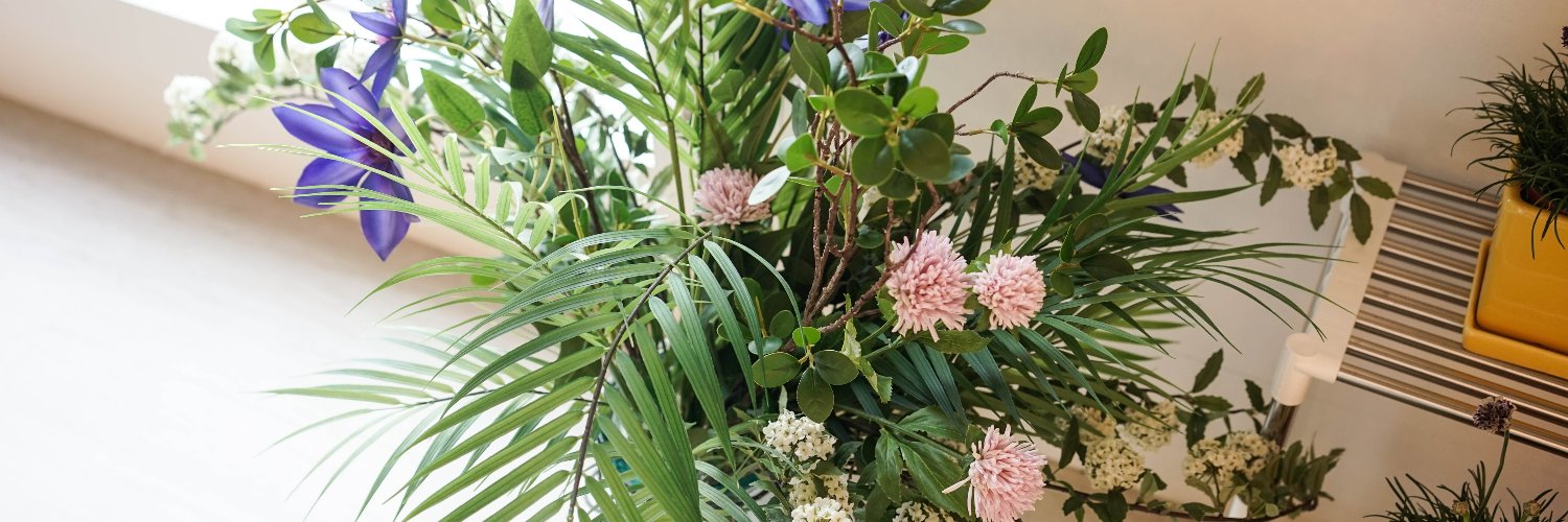 노미,무지개빛오후 banner