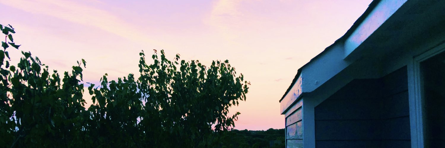 _sophiee___'s profile banner image