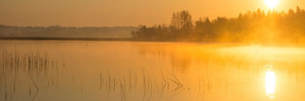 zz_zigurds Profile Banner