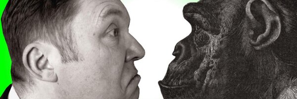 squashboxcraig Profile Banner
