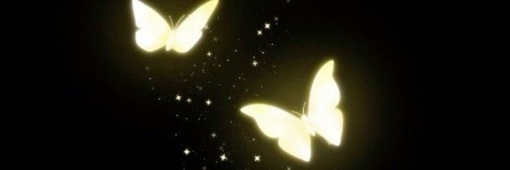 HisFallenQueen's profile banner image