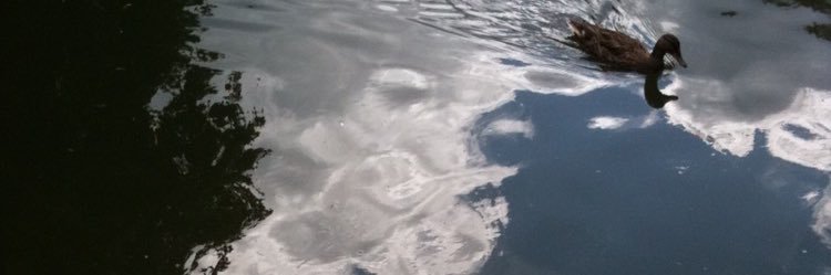 cccouk's profile banner image