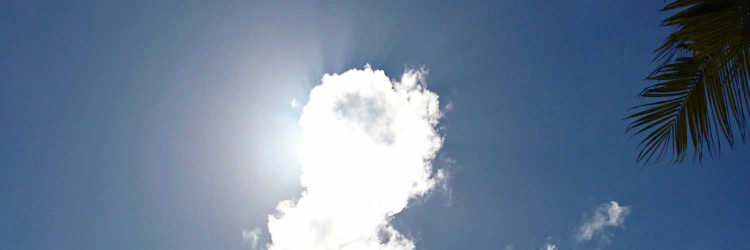 MasaShacho's profile banner image