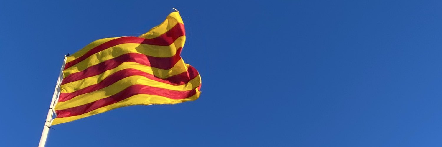 toycumba's profile banner image