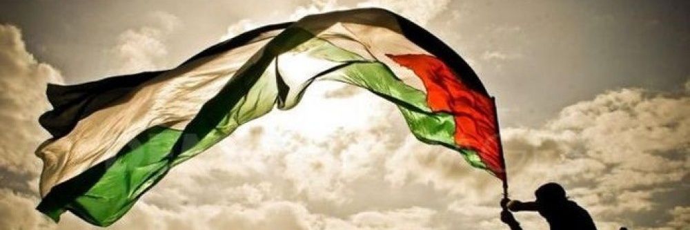 Ahmed in Gaza 🇵🇸's banner