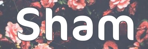 ShamAli505's profile banner image