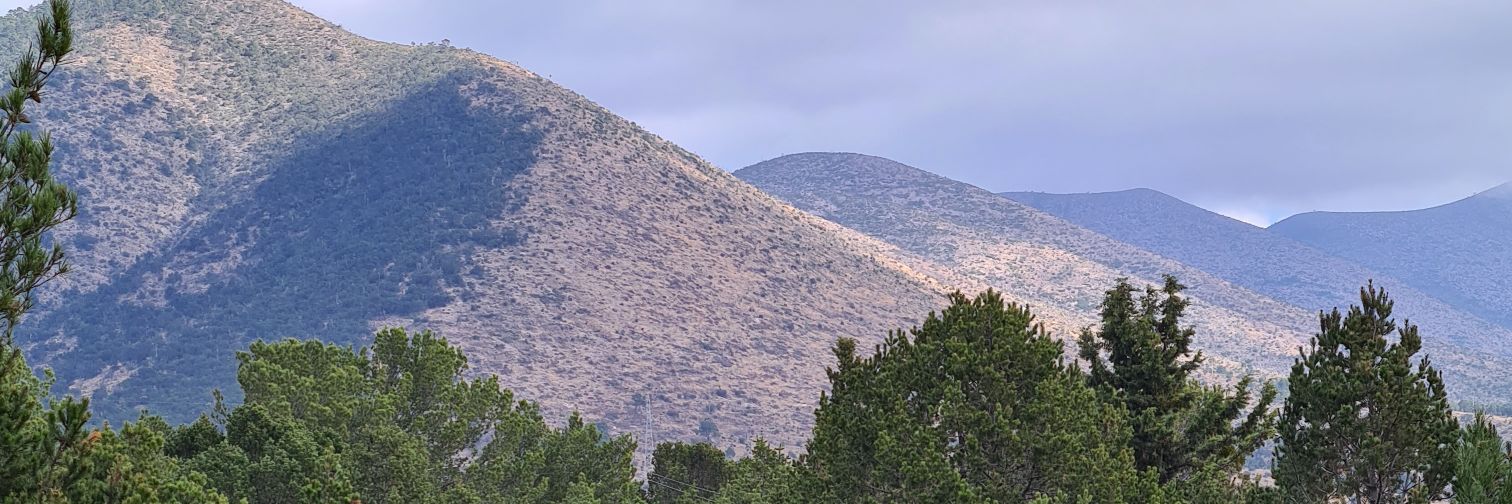 ChenteFerrara's profile banner image