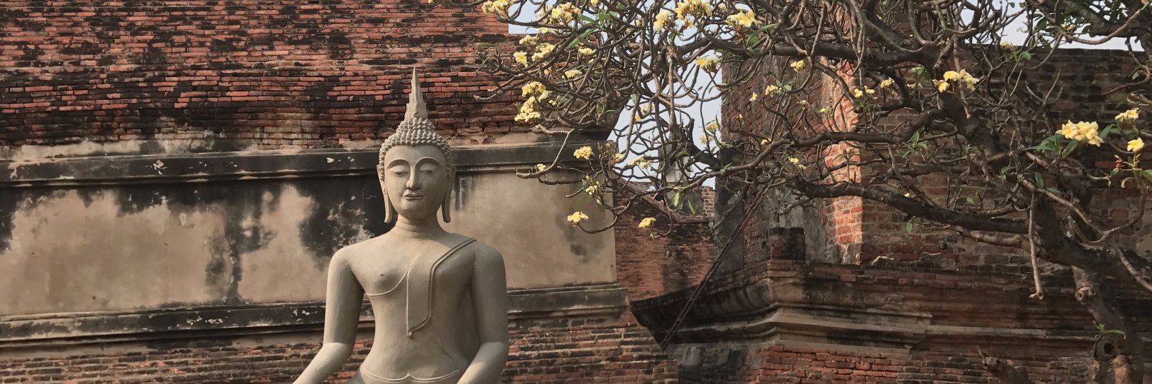 Kathleen Sullivan banner