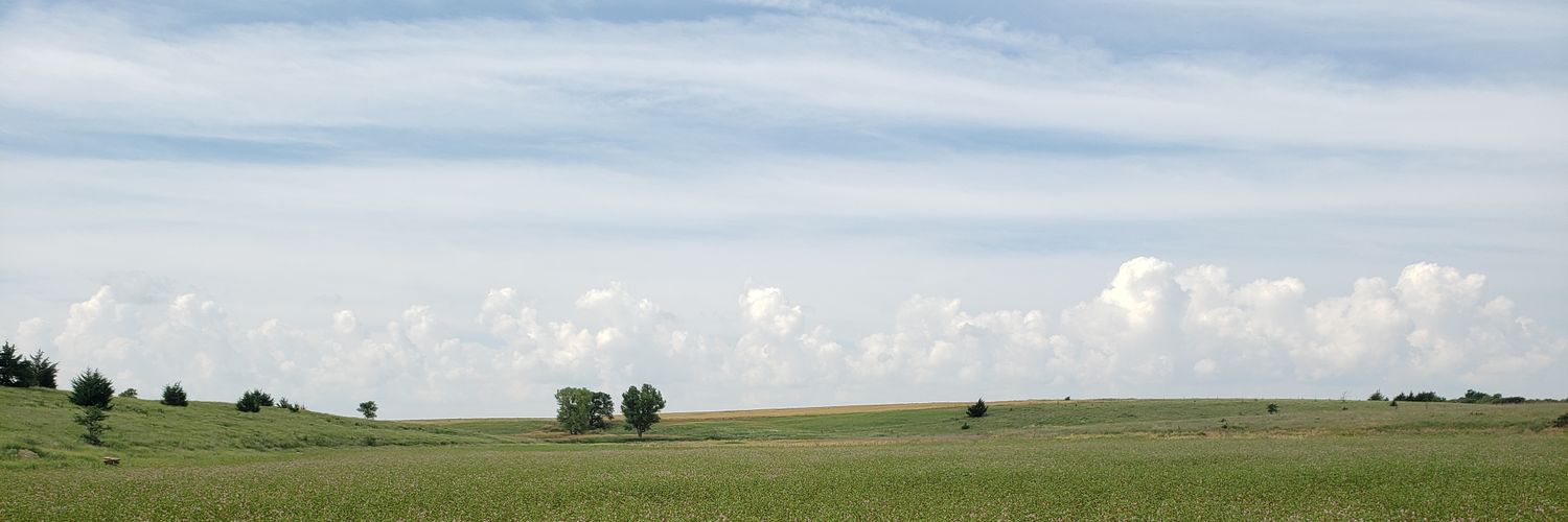 saramiller's profile banner image