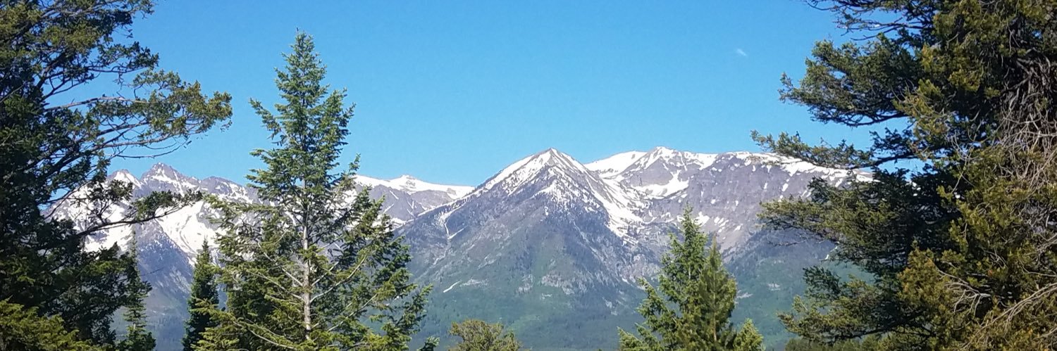 cms333's profile banner image