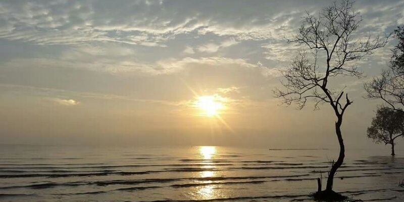 rezaumami11's profile banner image