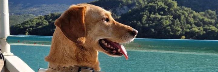 JulienNoble30's profile banner image