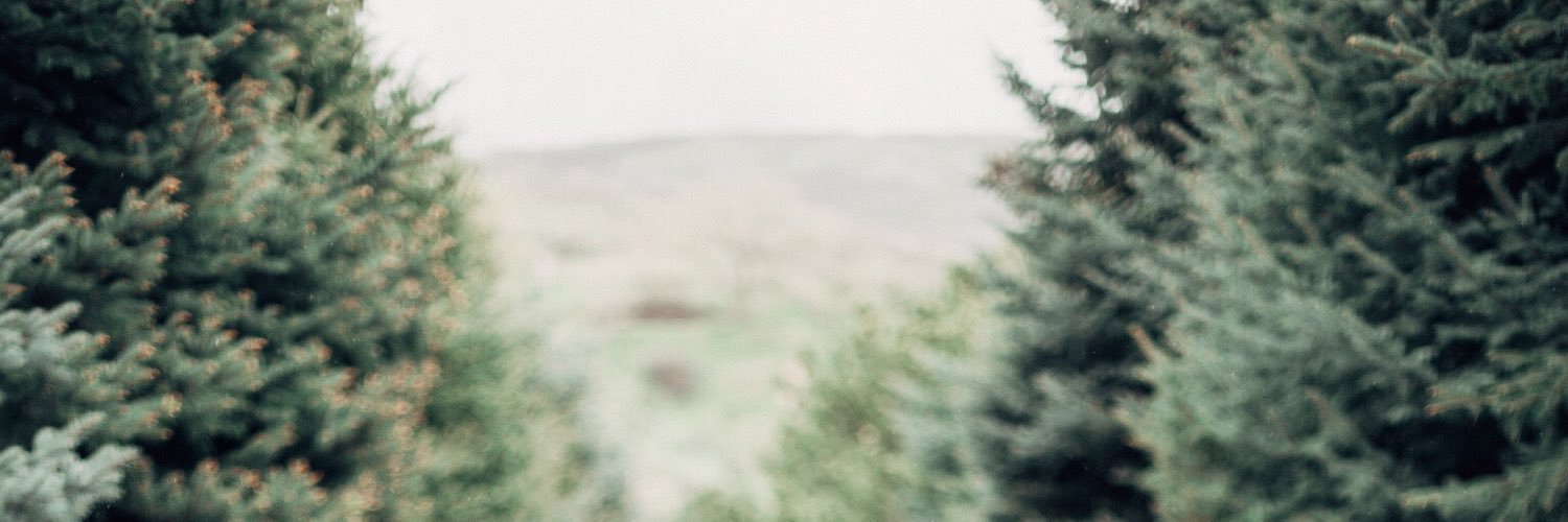 Mckynleewilson's profile banner image