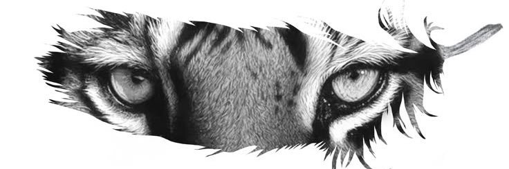 Dll_gh's profile banner image