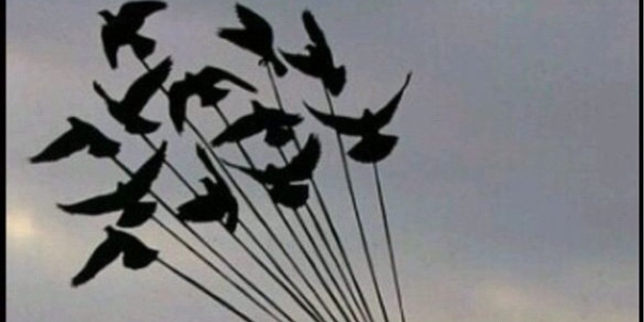 abdam2's profile banner image