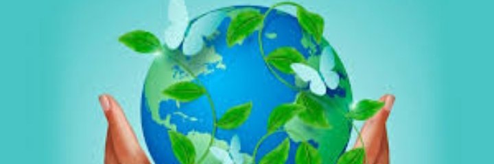 Laurita banner