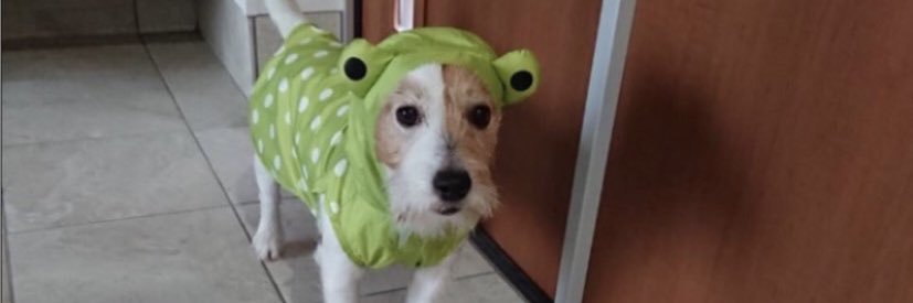 にるにるしてやんよ banner