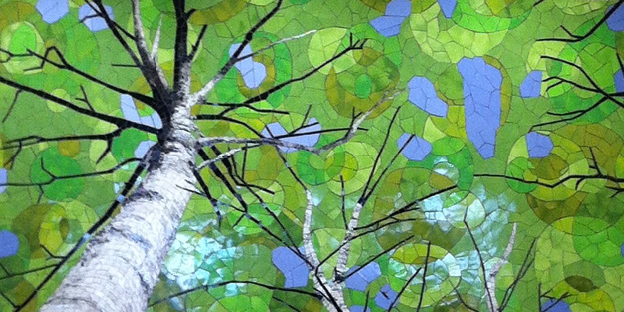 seaboch banner