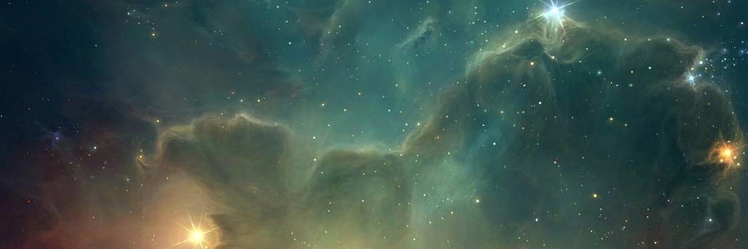 Mariona N. Jones 🧬 banner